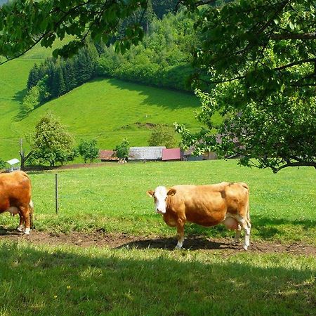 Ziegelhof Apartment Schuttertal Bagian luar foto