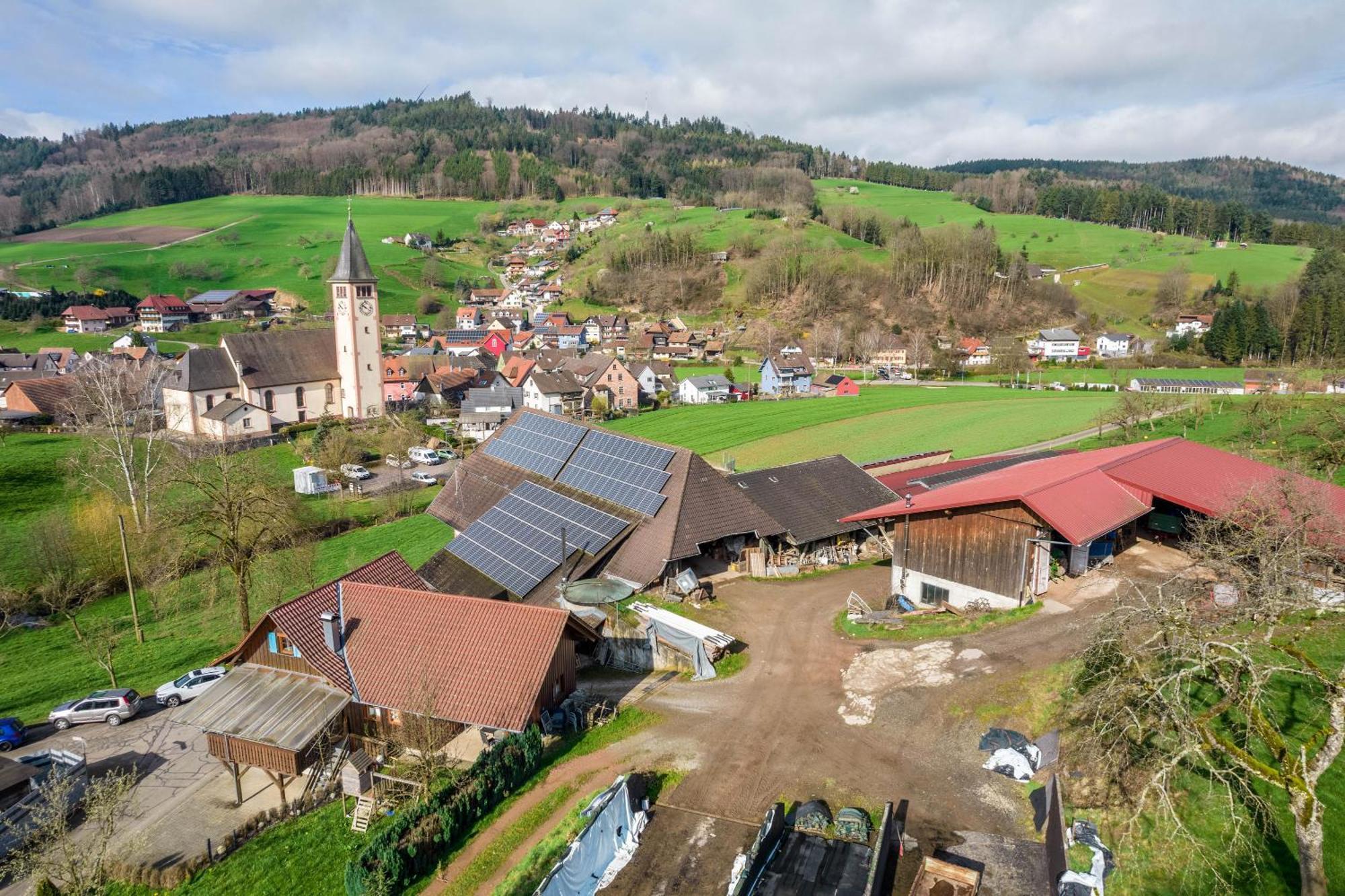 Ziegelhof Apartment Schuttertal Bagian luar foto