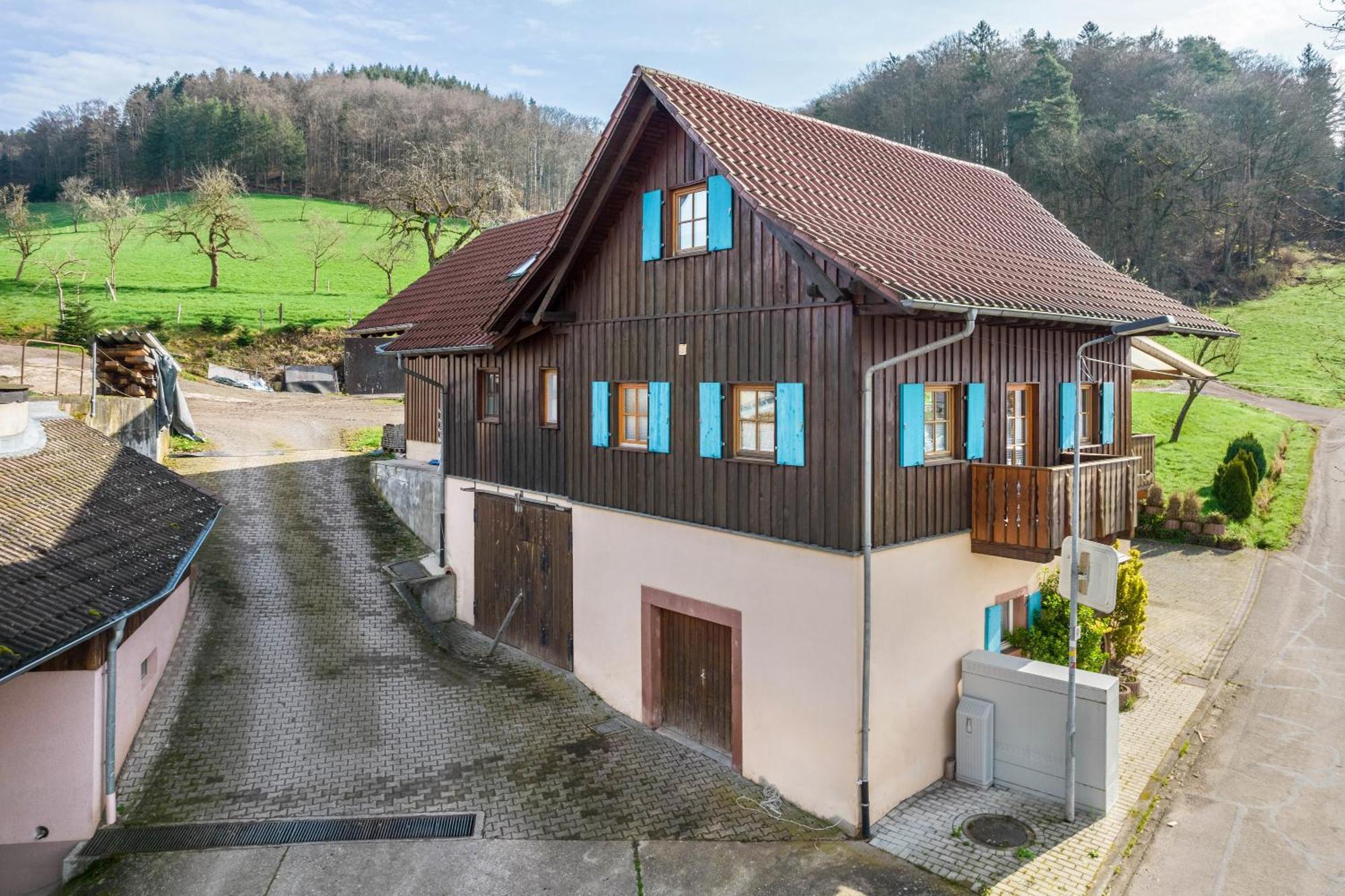 Ziegelhof Apartment Schuttertal Bagian luar foto